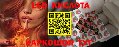 PSILOCYBIN Заводоуковск