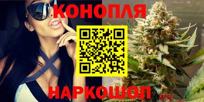 PSILOCYBIN Заводоуковск