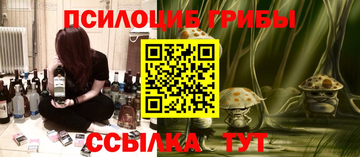 Фрязино  Галлюциногенные грибы прущие грибы  Вход с VPN  что такое   Псилоцибиновые грибы Psilocybine cubensis 